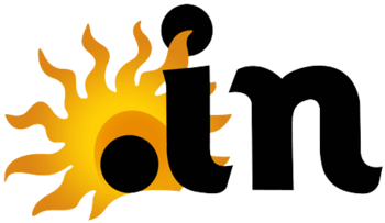 .pro.in domain icon